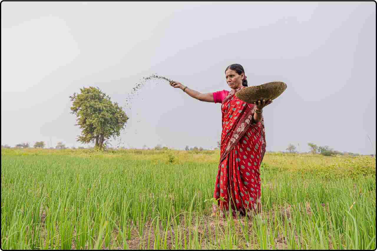 Action shot of a lady farmer in India applying fertilizer to the soil, surrounded by a lush green field.